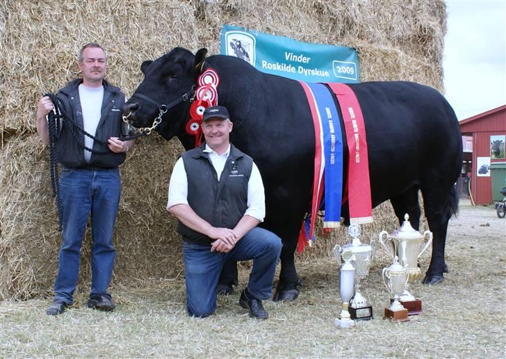 Roskilde dyrskue 09 - Min far holder bassen og Henrik ejer sidder foran. billede 9