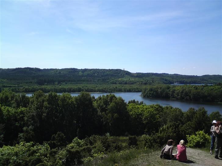 Sommerferie billeder af Tasano og Ace - sommer 2009 - Udsigten fra Bryggebjerg. Her fra kan man se helt til Silkeborg. billede 3