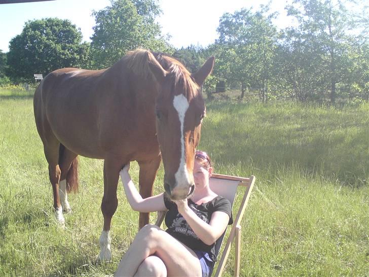 Sommerferie billeder af Tasano og Ace - sommer 2009 billede 7