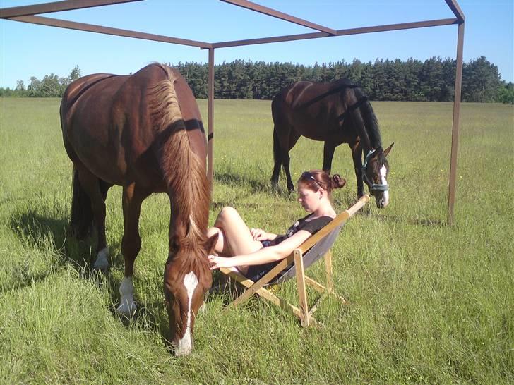 Sommerferie billeder af Tasano og Ace - sommer 2009 billede 8