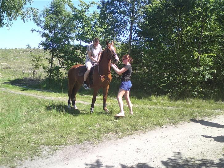 Sommerferie billeder af Tasano og Ace - sommer 2009 - Toft er ude og ride en tur billede 11