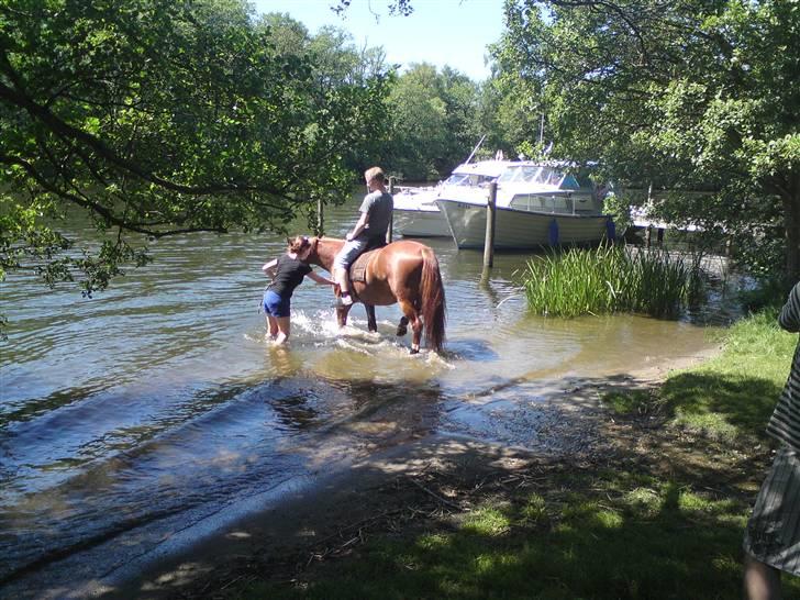 Sommerferie billeder af Tasano og Ace - sommer 2009 billede 13