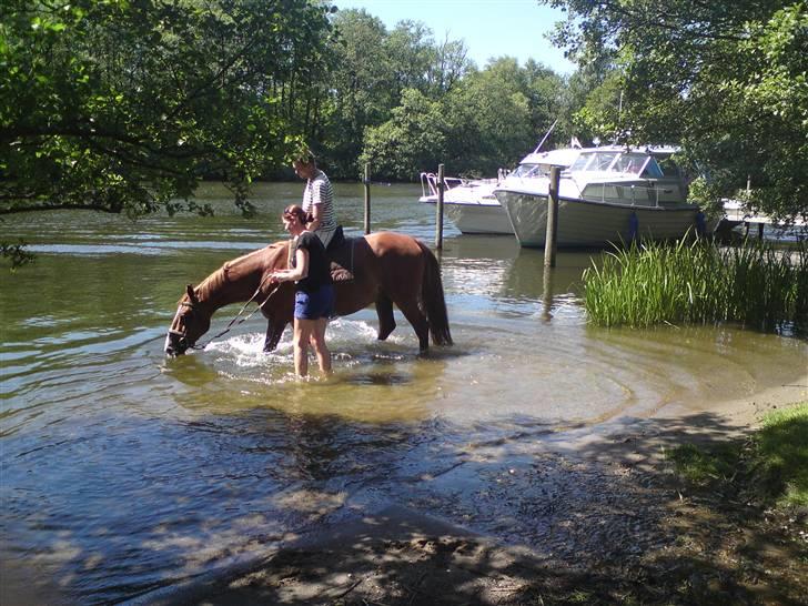 Sommerferie billeder af Tasano og Ace - sommer 2009 billede 14