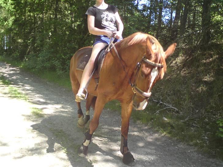 Sommerferie billeder af Tasano og Ace - sommer 2009 billede 15