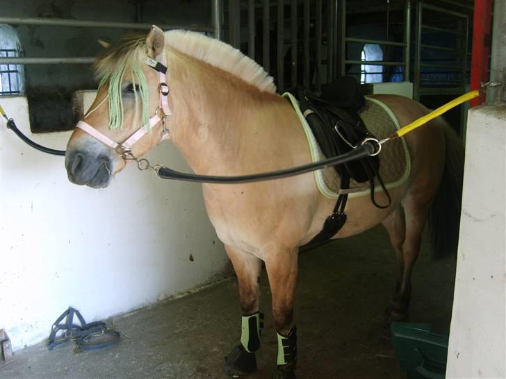 Mikis grønne ting xD billede 1