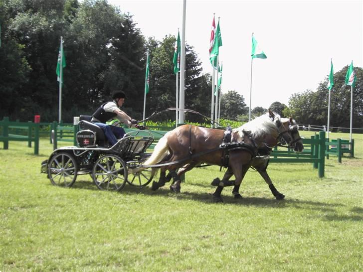 VM i kørsel for pony - marathon - Lars Dau - Danmark billede 4