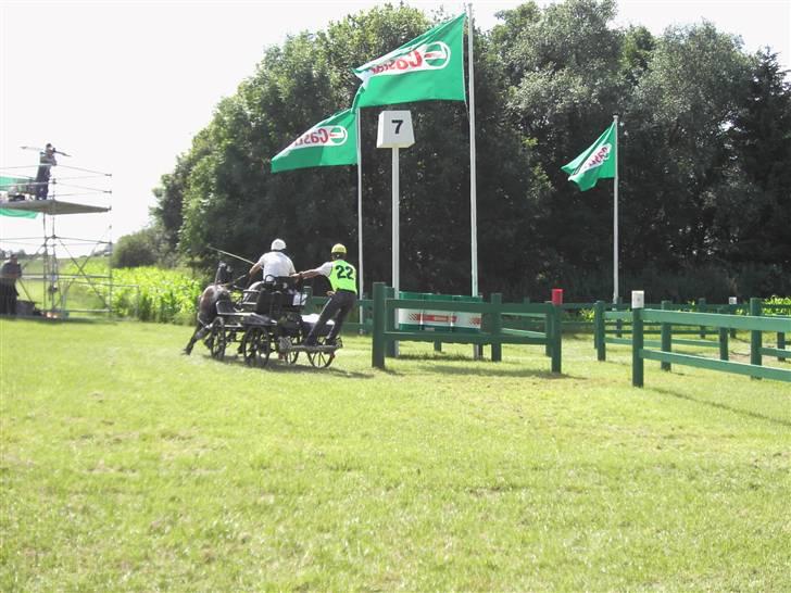 VM i kørsel for pony - marathon - Steffen Abicht - Tyskland billede 5
