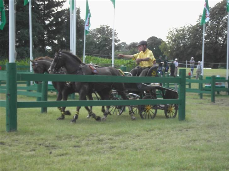 VM i kørsel for pony - marathon billede 10