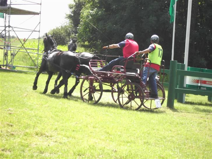VM i kørsel for pony - marathon billede 11