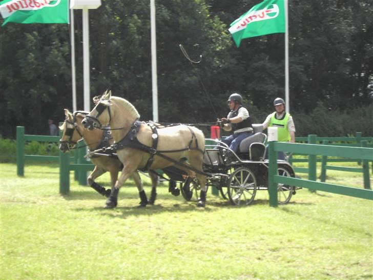 VM i kørsel for pony - marathon - Niels Schelde Petersen - Danmark billede 14
