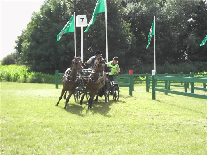 VM i kørsel for pony - marathon billede 16
