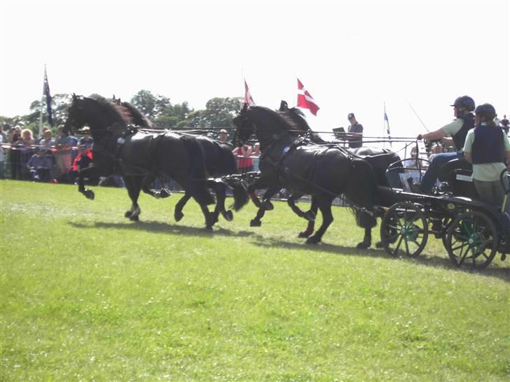 VM i kørsel for pony - marathon - Tea Giversen - Danmark billede 30