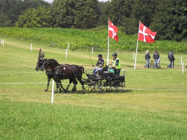 VM i kørsel for pony - marathon billede 32