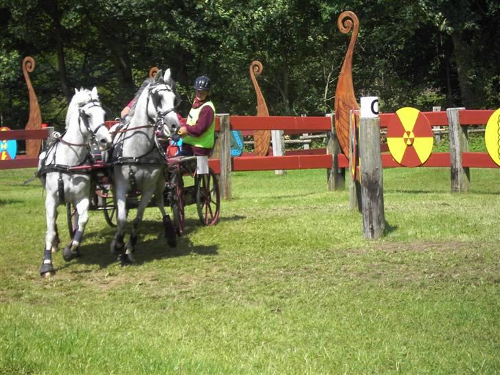 VM i kørsel for pony - marathon billede 33