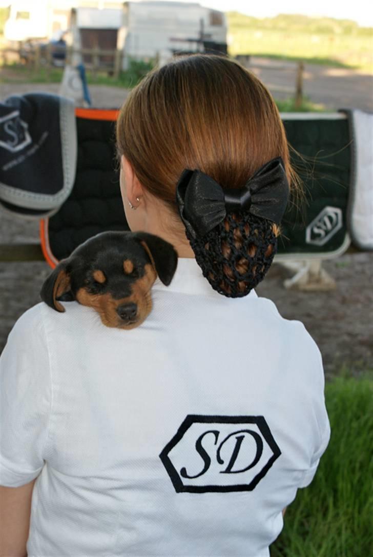 Vores SD udstyr .. - Hårsløjfe af Skærlunds eget design :O) billede 3