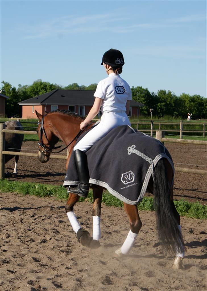 Vores SD udstyr .. - Anna Scarpati uldtæppe og stævneskjorte med broderi :O) billede 4