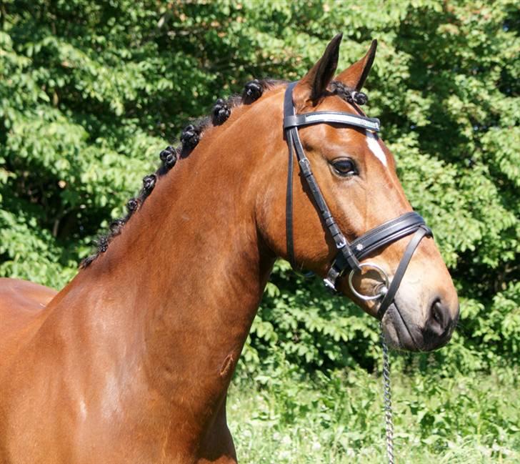 Vores SD udstyr .. - Buet pandebånd med lys blå glimmer og blomster :O)
Næsebånd fra SD med blomst, crystal/stort . Mærske: stübben. billede 6