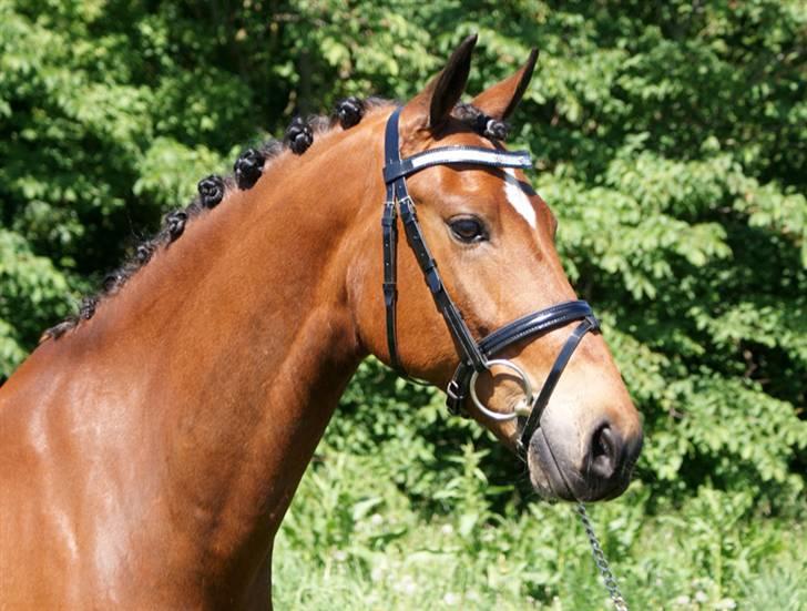 Vores SD udstyr .. - Buet pandebånd med sølv glimmer og blomster. Vi har "malet" det med en sort negel lak, så det passer til min OS lak trense :O) billede 7