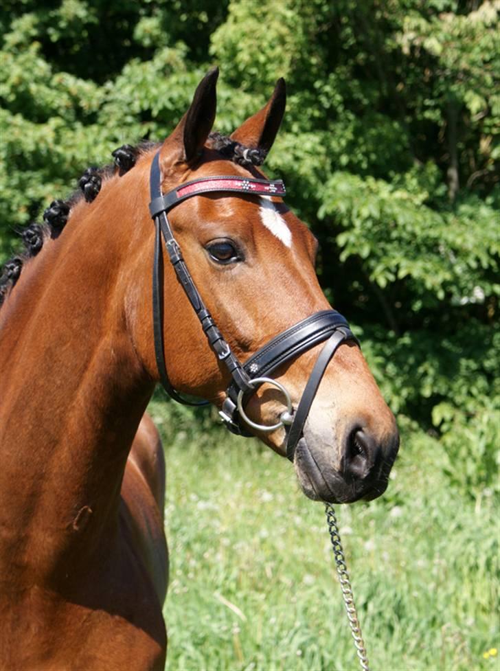 Vores SD udstyr .. - Buet pandebånd med rød glimmer og blomster .
Næsebånd fra SD med blomst, crystal/stort . Mærske: stübben. billede 8