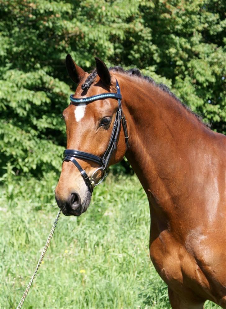 Vores SD udstyr .. - Smalt buet pandebånd med 8mm sten i aqaumarine. Er også "malet" med sort negel lak :O) billede 9