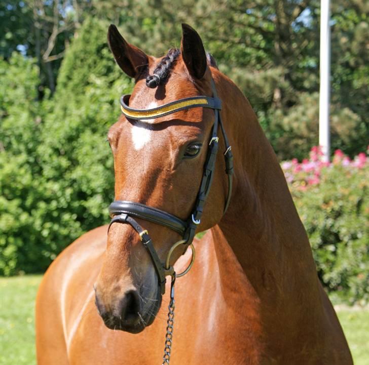 Vores SD udstyr .. - Buet pandebånd med guld glimmer :O) billede 10