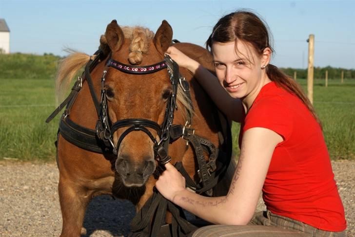 Vores SD udstyr .. - Smalt buet pandebånd sponseret af SD med 8mm rose, light rose og fuchsia sten. billede 15
