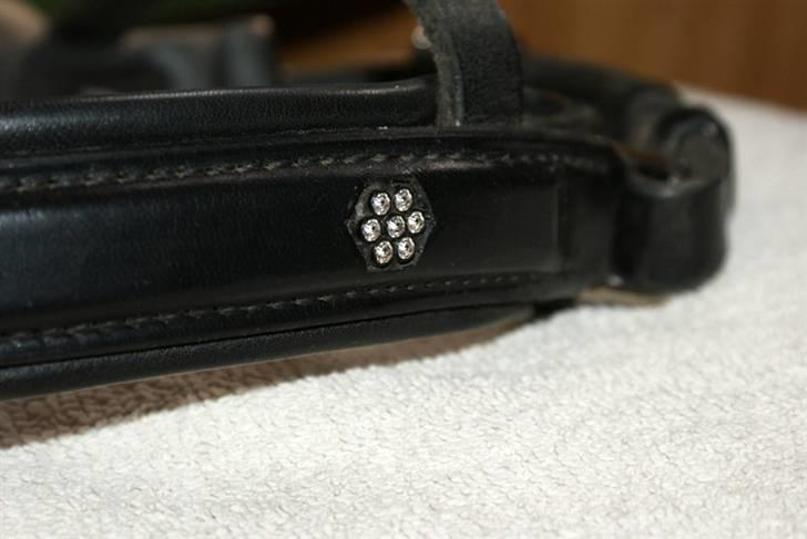 Vores SD udstyr .. - Næsebånd fra SD med en blomst i crytal/sort. Mærke: stübben.. billede 23