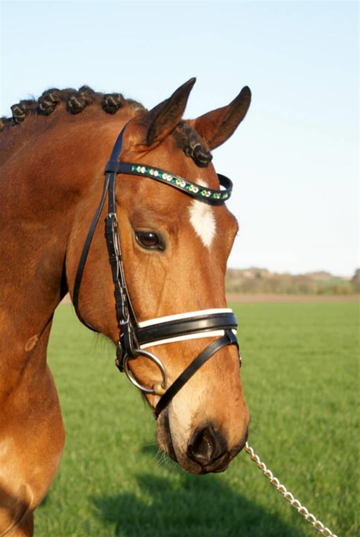 Vores SD udstyr .. - Smalt buet pandebånde sponseret af SD med 8mm sten i crystal, emerald og peridot.
Trensen er af mærket stübben. billede 31
