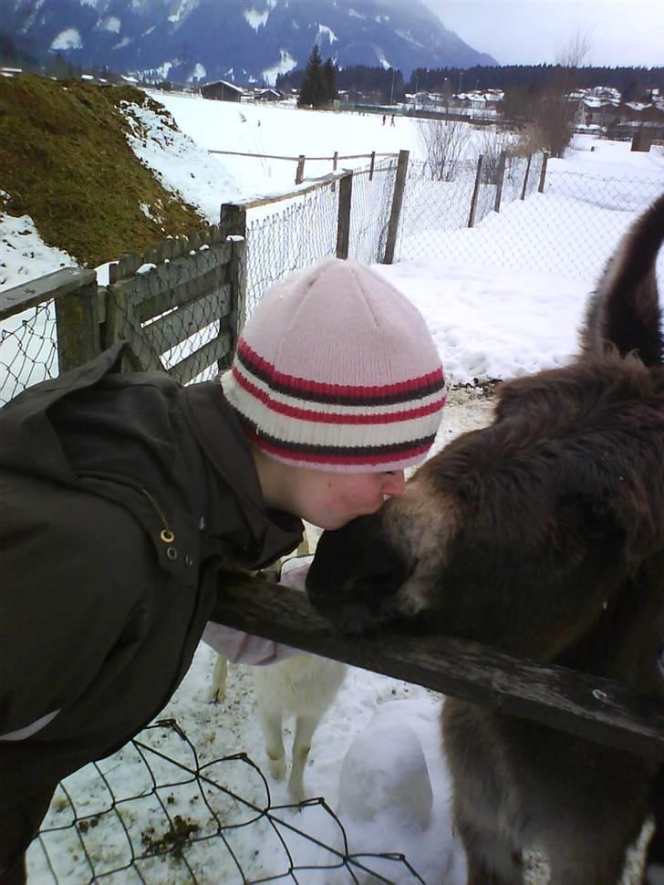 Skiferie i Neukirchen billede 18