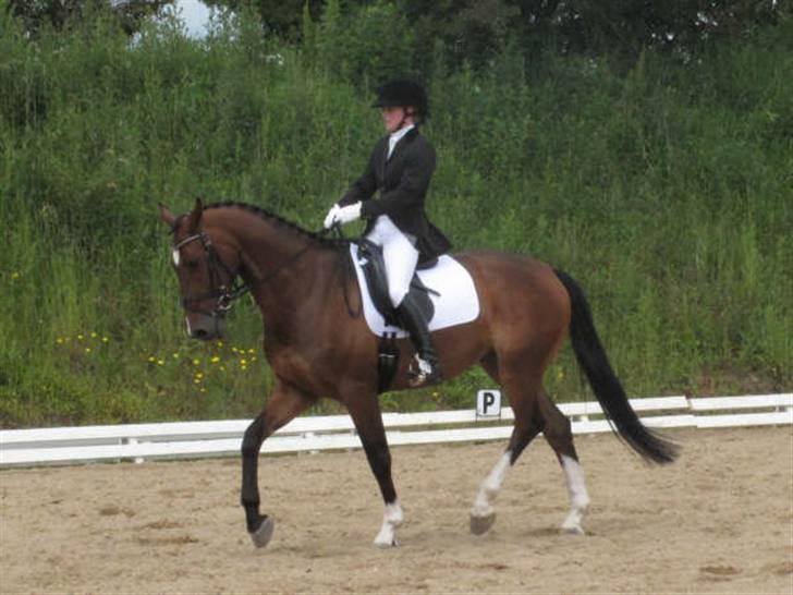 Dressurstævne i Sydjysk rideklub Rødekro billede 2