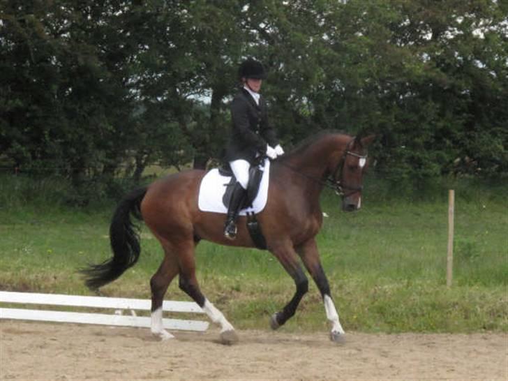 Dressurstævne i Sydjysk rideklub Rødekro billede 3