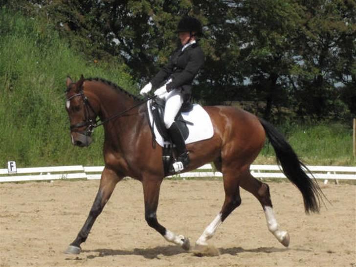 Dressurstævne i Sydjysk rideklub Rødekro billede 4