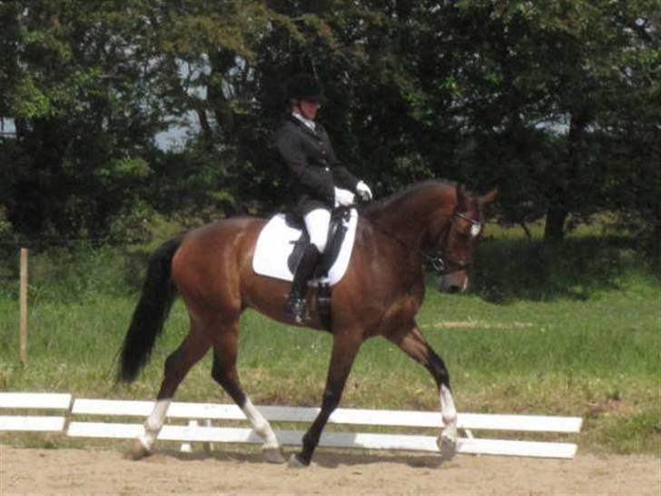 Dressurstævne i Sydjysk rideklub Rødekro billede 5