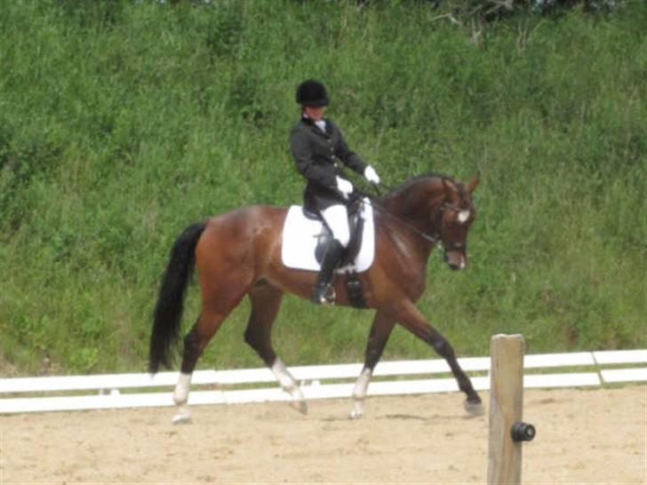 Dressurstævne i Sydjysk rideklub Rødekro billede 6