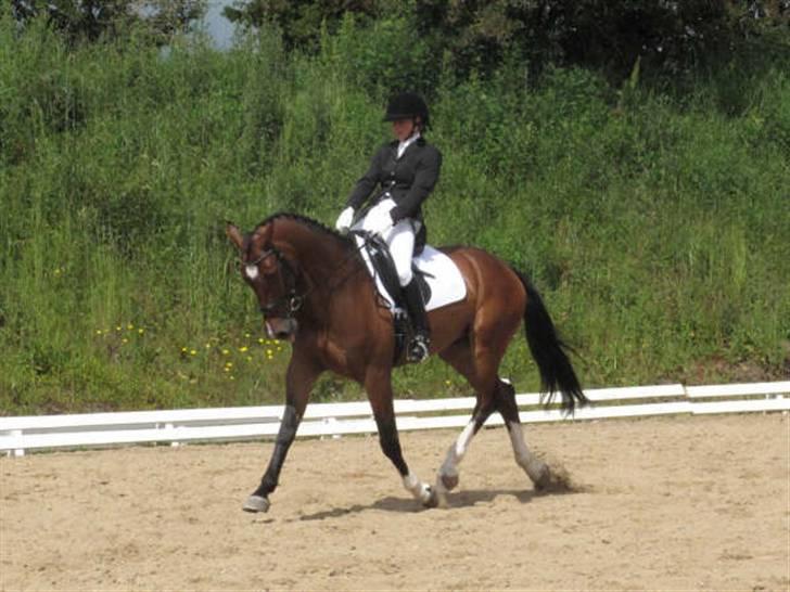 Dressurstævne i Sydjysk rideklub Rødekro billede 8