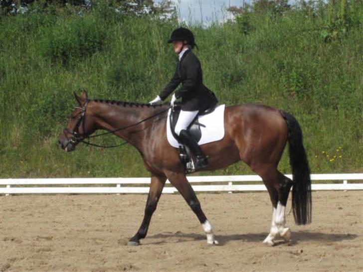 Dressurstævne i Sydjysk rideklub Rødekro billede 9