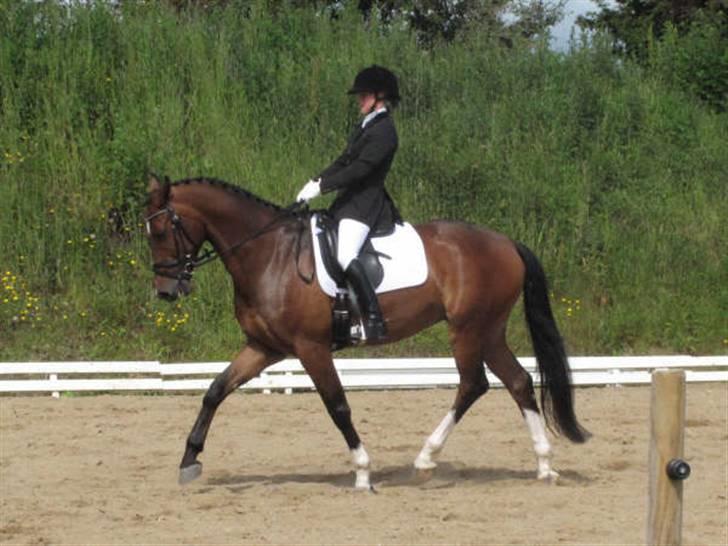 Dressurstævne i Sydjysk rideklub Rødekro billede 1