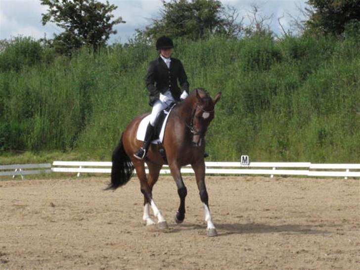 Dressurstævne i Sydjysk rideklub Rødekro billede 11