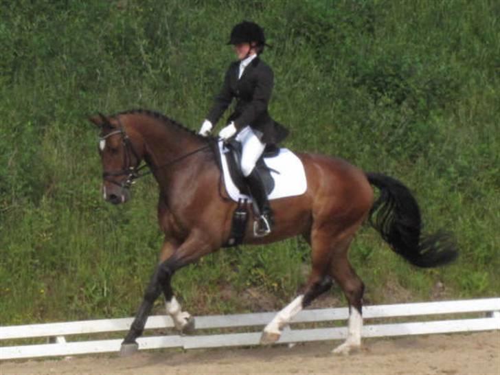 Dressurstævne i Sydjysk rideklub Rødekro billede 12