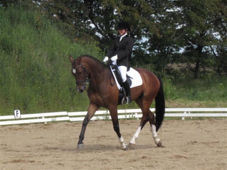 Dressurstævne i Sydjysk rideklub Rødekro billede 13