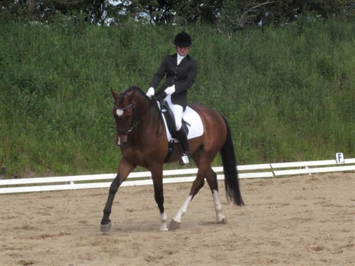 Dressurstævne i Sydjysk rideklub Rødekro billede 14