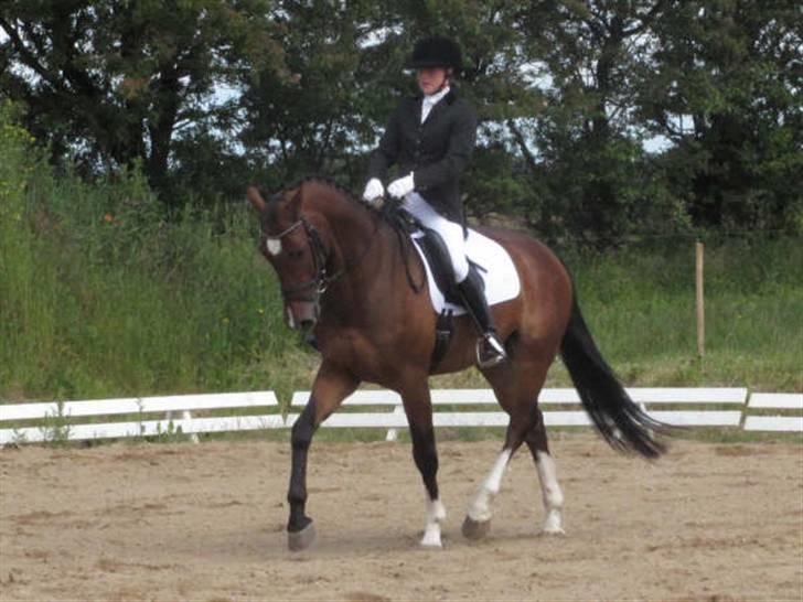 Dressurstævne i Sydjysk rideklub Rødekro billede 15