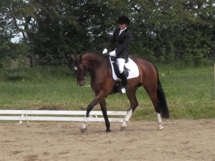 Dressurstævne i Sydjysk rideklub Rødekro billede 16