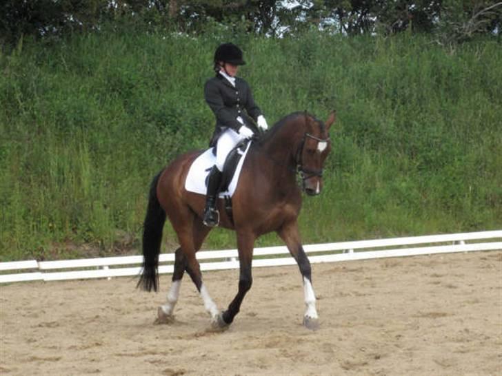 Dressurstævne i Sydjysk rideklub Rødekro billede 17