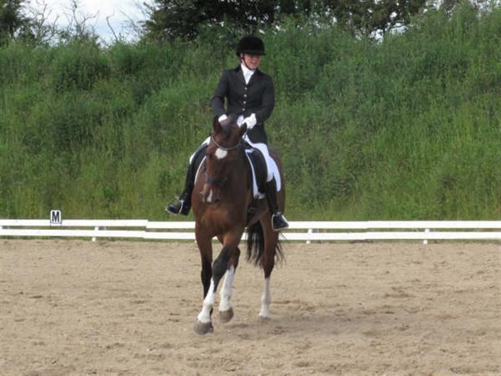 Dressurstævne i Sydjysk rideklub Rødekro billede 18