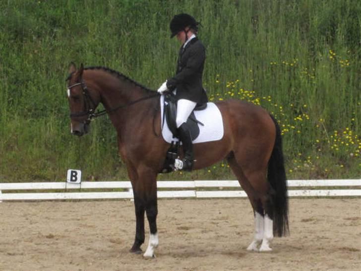 Dressurstævne i Sydjysk rideklub Rødekro billede 19