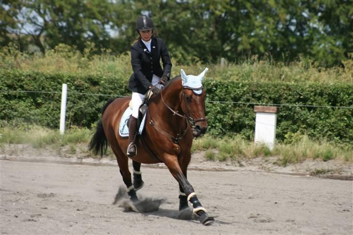 Spring i DSM rideklub den 21 juni 2009 billede 1