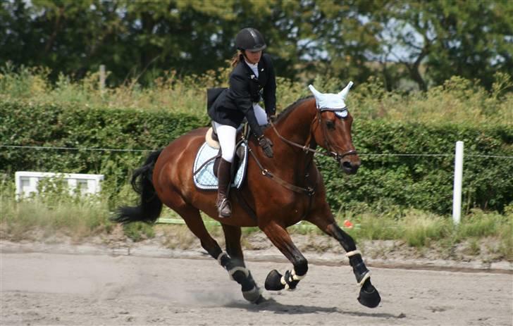 Spring i DSM rideklub den 21 juni 2009 billede 2