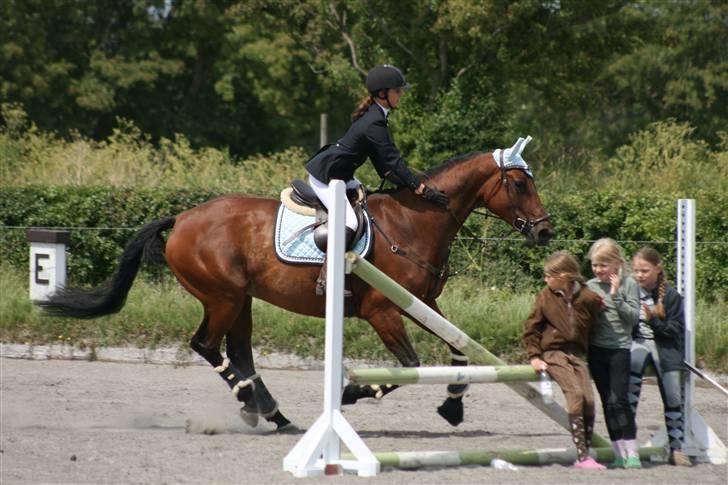 Spring i DSM rideklub den 21 juni 2009 billede 3