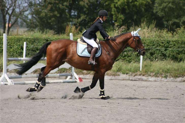 Spring i DSM rideklub den 21 juni 2009 billede 4